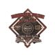 COOPERSTOWN DREAMS PARK ALUMNI PIN