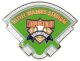 INDISDE LITTLE MAJORS STADIUM PIN